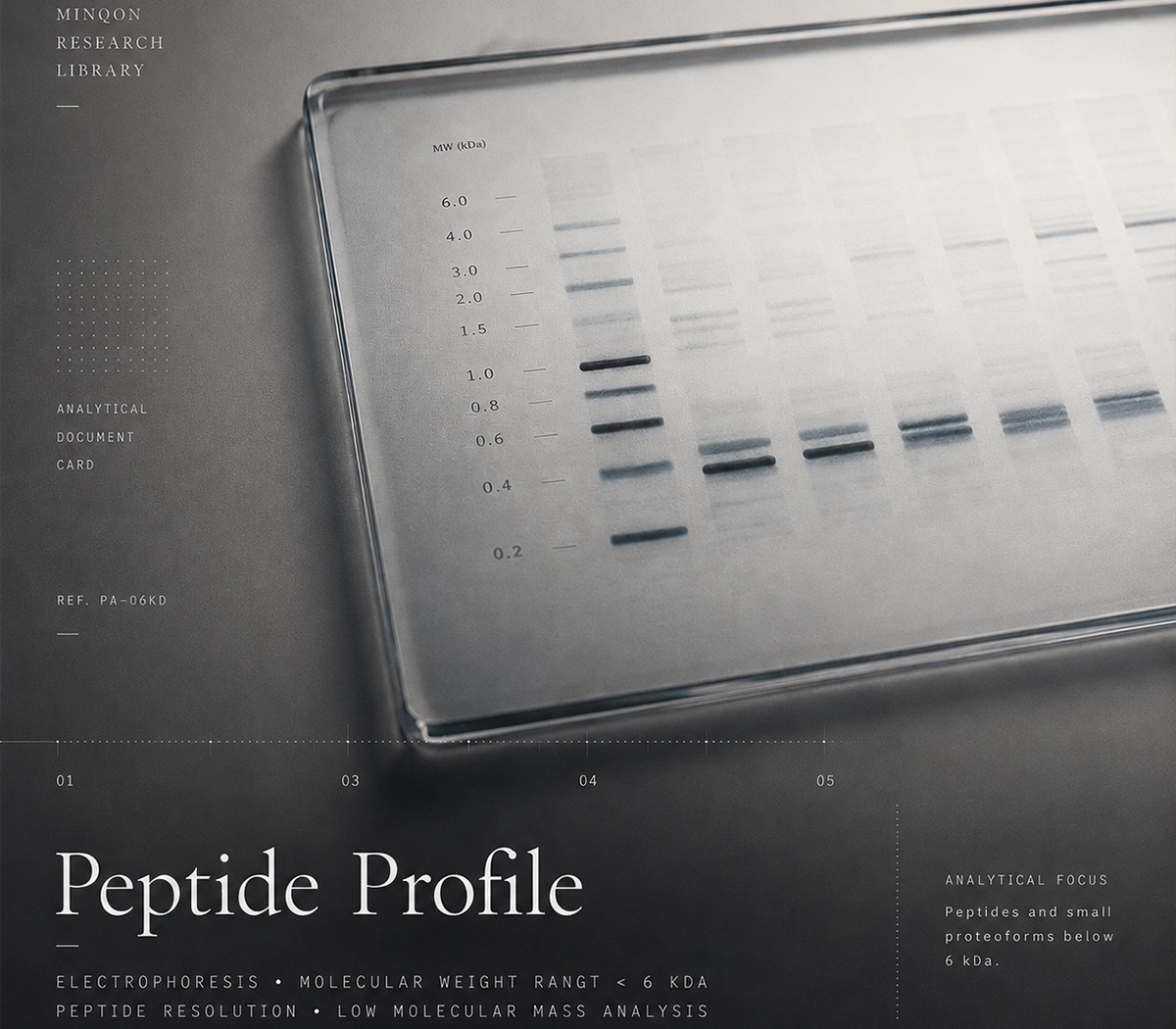 Analytics · electrophoresis · <6 kDa